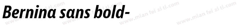 Bernina sans bold字体转换